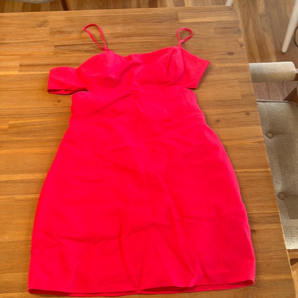 Lush Pink Mini Dress - Picture 2 of 5